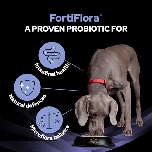 PRO PLAN Fortiflora Probiotic Dog Supplements 30x1g - Image 6