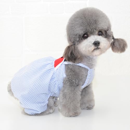 Disfraz para perro pantalón tirantes sandía azul talla S miniatura 3