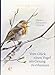Produktbild Vom Glück einen Vogel am Gesang zu erkennen: Pfeifen, Zwitschern, Tirilieren