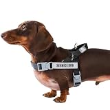 Paworld Hundegeschirr, Diensthundegeschirr, Norwegergeschirr Hund, Sicherheitsgeschirr mit 4 reflektierenden Aufnähern, Verstellbar, Griff, für Spaziergänge, Training und Laufen (Schwarz, S)