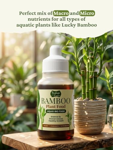 Image of Bombay Greens Liquid Bamboo Food for Plants | Growth Booster for Water Grown Plants | Essential Nutrient Plant Booster for Indoor Bamboo, Dracaena Plants - Pack of 2, 50ml Each