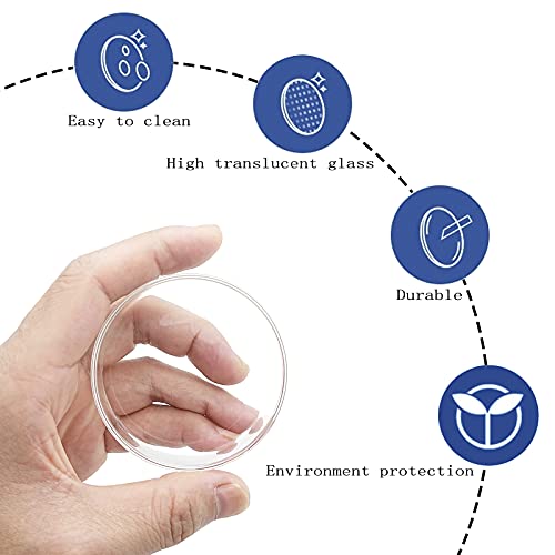 Image of Aquarium Shrimp Feeder Dish Glass Fish Tank Feeding Bowls, 2pcs Square Glass Food Bowl (60mm), 1pcs Round Fish Feeding Bowls with Suction Cups (60mm)