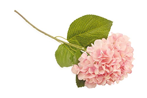 Villa d'Este Home Tivoli Fleur Ortensia