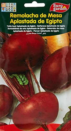 Euro Garden Beetroot