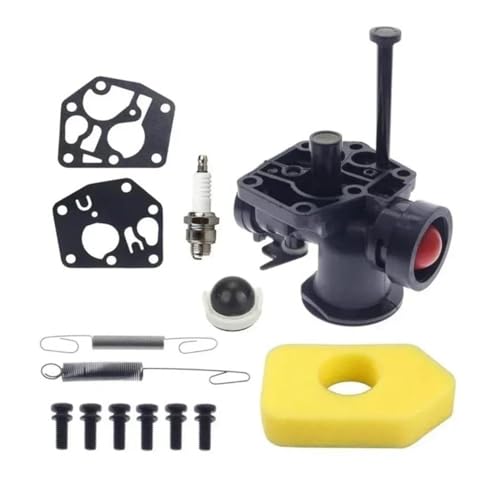 Kit carburateur 499809 universel et ressort de régulateur 691859
