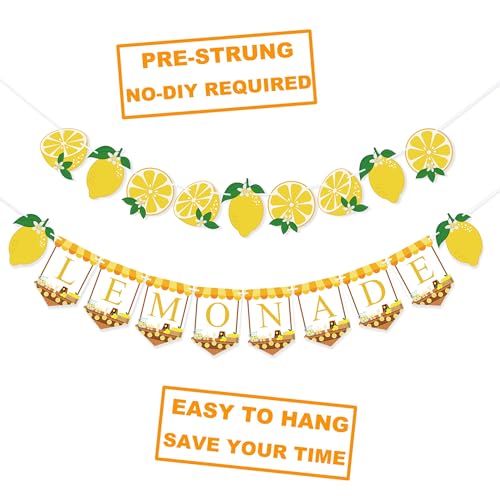 Image of Lemonade Stand Supplies Banner Lemonade Sign Lemon Garland | Lemon Party Decorations for Birthday, Baby Shower, Lemon Party Decor, Fruit Themed Favors