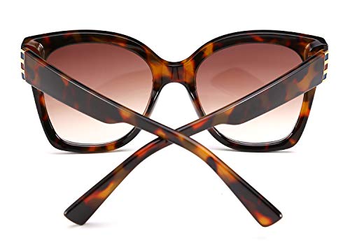 FEISEDY Retro Oversized Square Sunglasses Stylish Colorful Frame Chic Eyewear for Woman and Men B25973