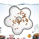 Futterspender für Aquarien | Futtertablett in Form von Aquarien - für...