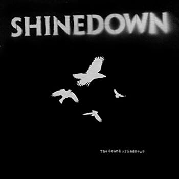 Audio CD The Sound Of Madness (Deluxe Edition)(CD/DVD) Book