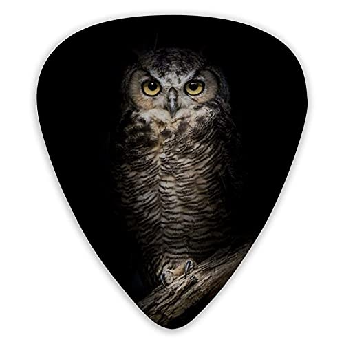Médiators pour guitare Owl Design Pics pour guitare 12 Packs – Variété de médiators pour guitare Plectres - Les Beatles, Paul McCartney, John Lennon, RIngo Starr, George Harrison Médiators pour guitare Owl Design Pics pour guitare 12 Packs - Variété de médiators pour guitare Plectres