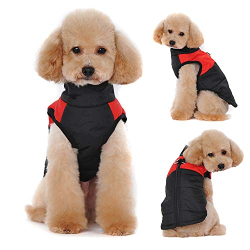 Idepet Haustier Hund Warm Mantel Jacke Wasserdichte Kleidung Kleine mittlere große Haustier Hund Katze Bekleidung Bekleidung Frühling Herbst Winter- (M, Rot)
