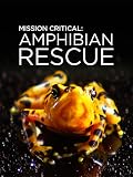 Mission critique : à la rescousse des amphibiens