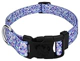 Country Brook Petz - Mermaid Mosaic Everyday Dog Collar - Made in the U.S.A. - Abstract Collection Featuring Geometric Designs (1 Inch, Large)