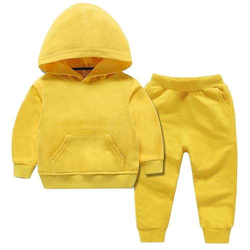 Girls Boys 2 Piece Tracksuit Sport Sweatsuits Sets Hooded Sweatshirt Jogger Sweatpants Clothing Sets for Kids