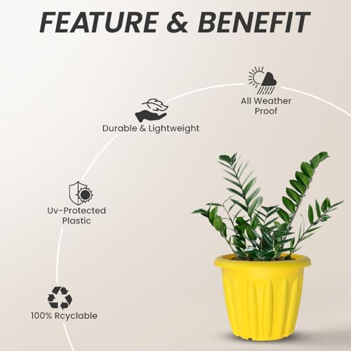 Image of YUCCABE ITALIA SHERA Floot 8 Inch Plastic Flower Pot 12 Piece Set of Round Shape Planter for Home Garden Seedling Planter for pots (Yellow)