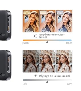 TONEOF 96 LED Lampe de Téléphone Améliorée avec Coque Souple&Support Intégré, Lampe pour Appareil Photo, Lamp de Visioconférence Rechargeable avec Réglage Multiple de la Luminosité, Lamp Selfie-Noir