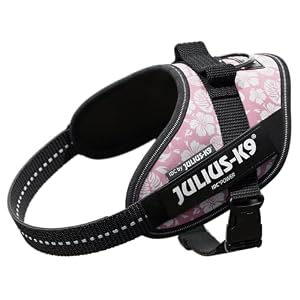 犬用ハーネス Julius-K9 IDCパワーハーネス