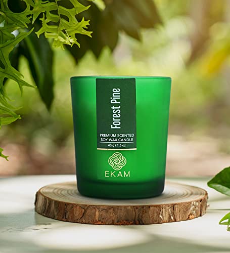 Image of EKAM Forest Pine Votive Soy Wax Scented Candle, 40 Grams, 10 Hours Burn Time| Long Lasting Premium Candles | Ideal for Home Decor | Gifting & Aromatherapy (Pack of 12)