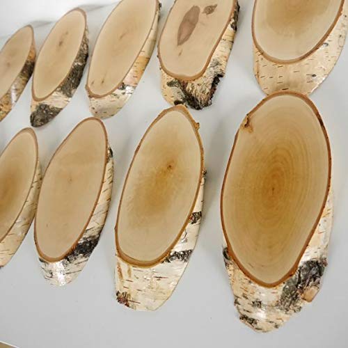 10 carteles de madera de abedul para trofeos con cornamenta, cornamenta, disco de árbol, cartel de madera natural, moderno con compartimento de pino