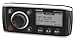 Fusion MS-RA50, AM/FM/AUX/iPOD-iPHONE/Bluetooth Ready Marine Stereo