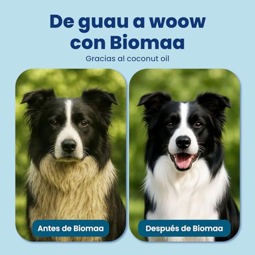 BIOMAA Shampoo Natural´s para Perros con Corteza de Encino y Aceite de Coco – Antiséptico, Hipoalergénico, Hidratante y Anticaída – Brillo y Suavidad – Ideal para Todo Tipo de Piel-17.6oz/500mL - Imagen 6