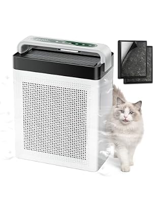 Cypcat Portable Air Purifier for Home Pets Fur, Odor, 2500 Ft² Room