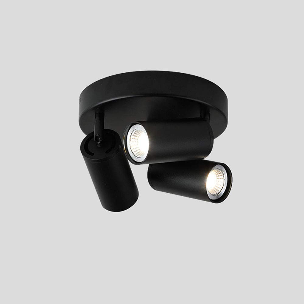 Spots de plafond ronds pour couloir avec éclairage sur rail GU10 noir