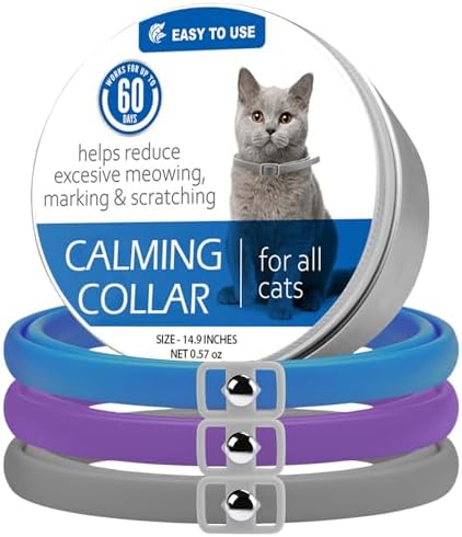 View of The Calming Collar for Cats: Reviewed and Ranked - A-Z Animals