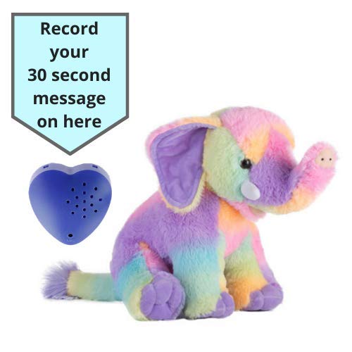 Splodge Teddy Parties Rainbow Elephant Plush Soft Toy with 60 Second Voice Recorder - 16"/40cm - Record a Message and Send in a Bear - Baby Heartbeat Bear