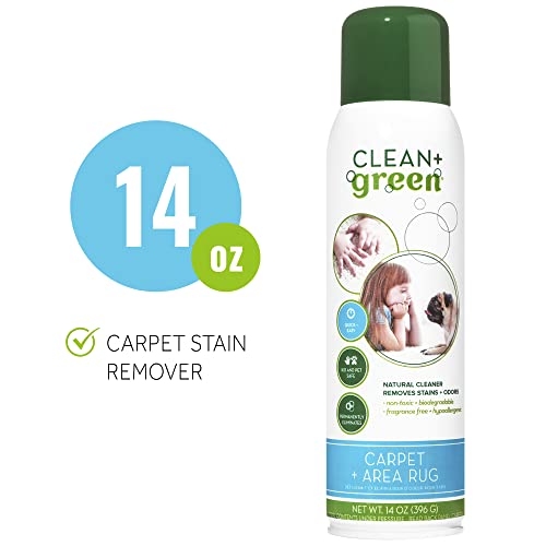 Clean+Green Natural Stain Remover and Odor Eliminator - Carpet Cleaner, Pet Supplies, Household Cleaning Products for Cat Litter & Housebreaking, Carpet Cleaner Solution (14 Oz, 2 Pack)