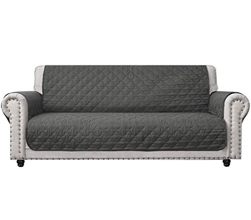 leather couch with pets