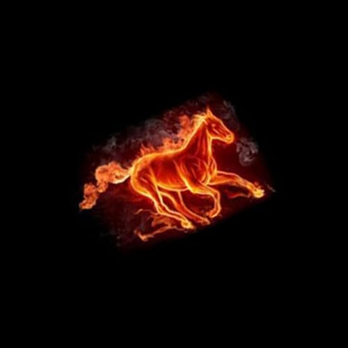 �t�F���[�� 458 2011 2012 2013 2014 2015 2���� �����P�xHD�h�ALED���S�v���W�F�N�^�[�A��Ԏg�p�̎ԃh�A���C�g�����p���C�g�A���t���ȒP [���s�A���i]