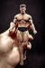 Phicen TBLeague 1/12 Scale Super Flexible Male Seamless Body PH2019-TM01A/TM02A (TM02A)