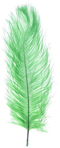 Shekyeon Dark Green 10-12inch 25-30cm Ostrich Feather Home Decoration DIY Craft Pack of 10