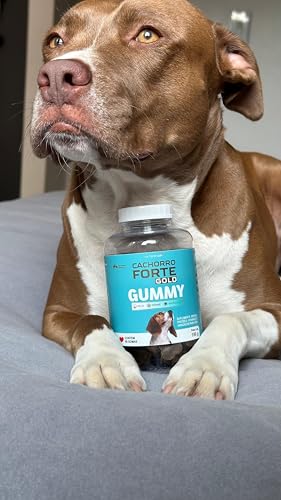 Cachorro Forte Gummy Suplemento Pelo e Derme Coceira Imunidade Mastigável