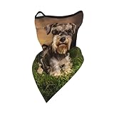 hdtvtv schnauzer tramonto cani animali domestici montagne schnauzer,scaldacollo morbido per il viso, mezza maschera, sciarpa, passamontagna