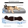 Bnonya-Orthopedic-Dog-Bed-Dog-Beds-for-Large-Dogs-Bolster-Pet-Bed-Washable-Dog-Bed-with-Pillow-and-Anti-Slip-Bottom Bnonya Orthopedic Dog Bed for Large Dogs with Pillow and Anti-Slip Bottom | Washable and Durable