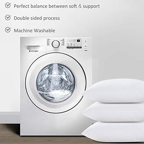 https://m.media-amazon.com/images/I/41LDl0+--QL._SL500_.jpg