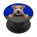 Un lindo Lakeland Terrier, también conocido como el Lakie, asomando su cabeza para saludarnos. Perfecto para cualquier mamá de Lakeland Terrier, papá, entrenador, veterinario, amante de los perros o dueño de mascotas. Para hombres, mujeres, niños y niñas.