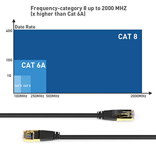 Dbillionda Ethernet Cable 100 Ft, Cat 8 Ethernet Cable, Support Cat7/Cat5/Cat5E/Cat6/Cat6E Standards, High Speed 40Gbps 2000Mhz F/Ftp Lan Wires With Rj45 Gold Plated Connector For Modem, Router, Pc #TOP2