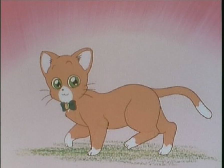 その他 Art of Nature: Jellies [DVD] Amazon.co.jp: Art of Nature: Jellies [DVD](品)Art of Nature