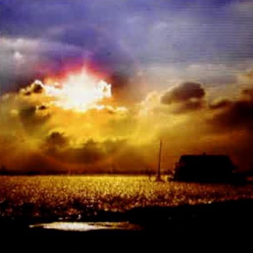 industrial ambient & augur