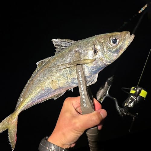 バリバス アジングマスター エステル レモニー 0.3号 150m