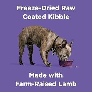   BIXBI-Rawbble-Dry-Dog-Food-Lamb-24-lbs-USA-Made-with-Fresh-Meat-No-Meat-Meal-No-Corn-Soy-or-Wheat-Freeze-Dried-Raw-Coated-Dog-Food-Minimally-Processed-for-Superior-Digestibility