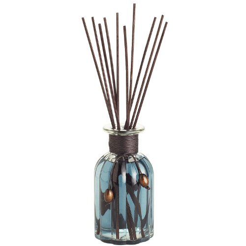 Pier 1 Imports Reed Diffuser - Oceans