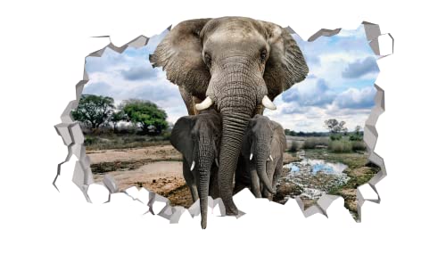 Vinilo Decorativo Elefante Safari 60cm x 36cm 3D