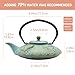 27.1oz Small Cast Iron Teapot, SECHUDO Japanese Style Tea Kettle Coated with Enameled Interior for Stovetop Safe,Cast Iron Tea Pot with Stainless Steel Strainer for Loose Leaf,Flat Fish Pattern(800ml)
