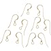 14K Gold Filled French Wire Earring Hooks (10)