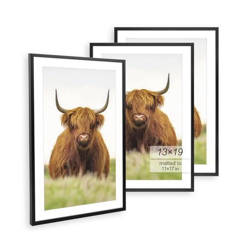 Golden State Art, 13x19 Picture Frame Set of 3, Black Thin Border, Display Photo 11x17 with Mat or 13x19 Without Mat, Poster Frame for Wall Hanging Horizontal and Vertical