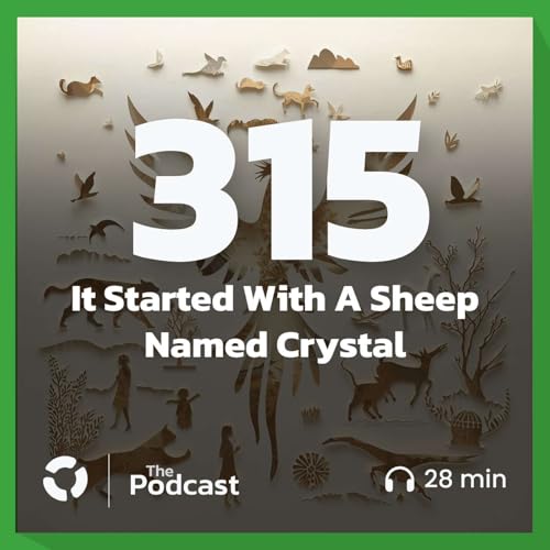 It Started With A Sheep Named Crystal